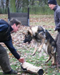 Lena und Zip