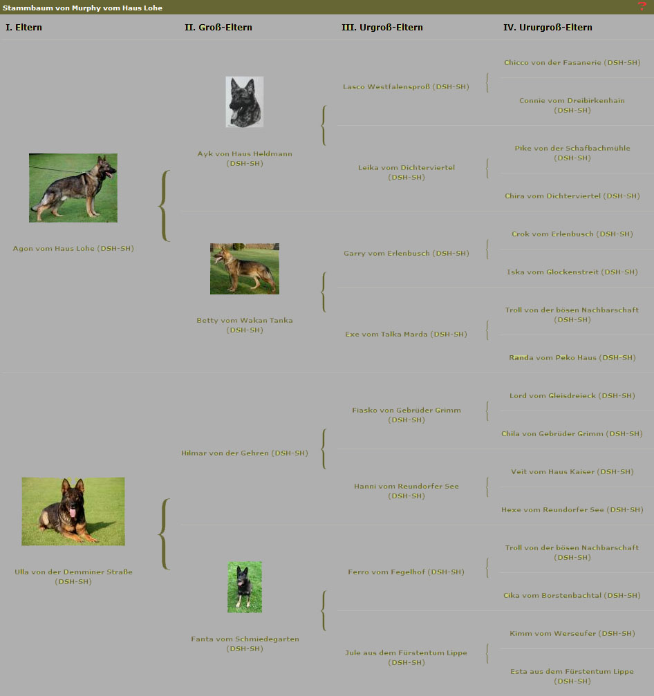 Murphy vom Haus Lohe - Stammbaum